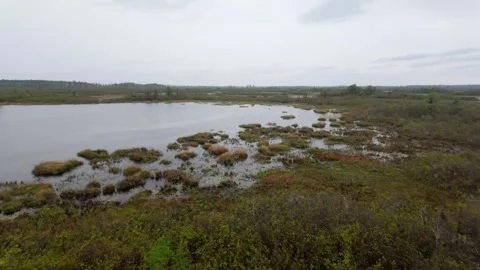 High angle panning shot of the Okefenokee Swamp Stock Footage 333261762
