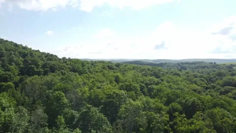 A High Angle Panning Shot of Summertime in a Rural Area 库存影片 199342145