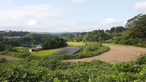 High Angle Panning at Solar Panels Array Rice Fields Okayama Japan Landscape Видео 344472698