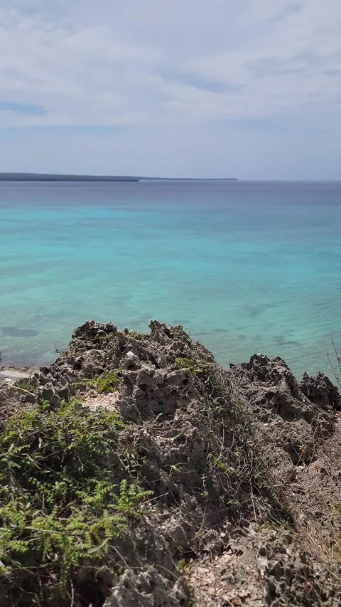 High Angle Panorama of Bahia de las Aguilas Turquoise Coastline and Cliffs Stock Footage 330909964