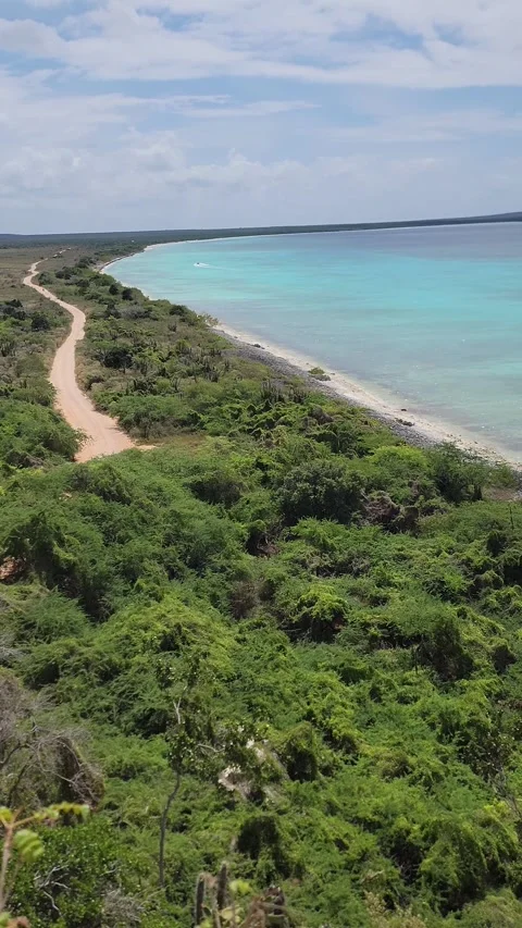 High Angle Panorama of Bahia de las Aguilas Turquoise Coastline and Cliffs Stock-Footage 330910031