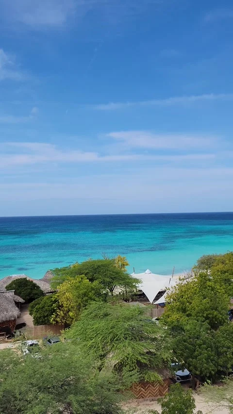 High Angle Panorama of Bahia de las Aguilas Turquoise Coastline and Cliffs Stock-Footage 330911219