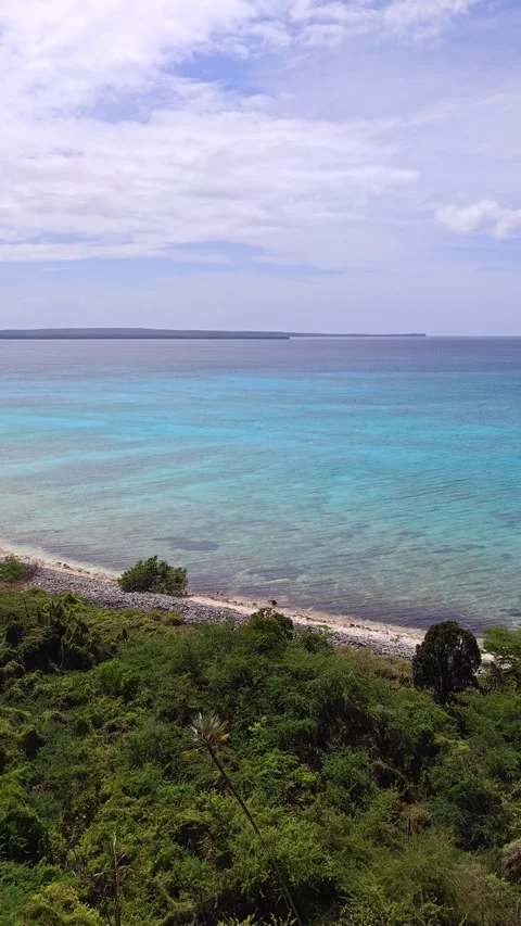 High Angle Panorama of Bahia de las Aguilas Turquoise Coastline and Cliffs 스톡 동영상 330975364