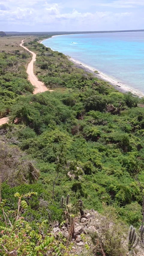 High Angle Panorama of Bahia de las Aguilas Turquoise Coastline and Cliffs Vidéo 330975786