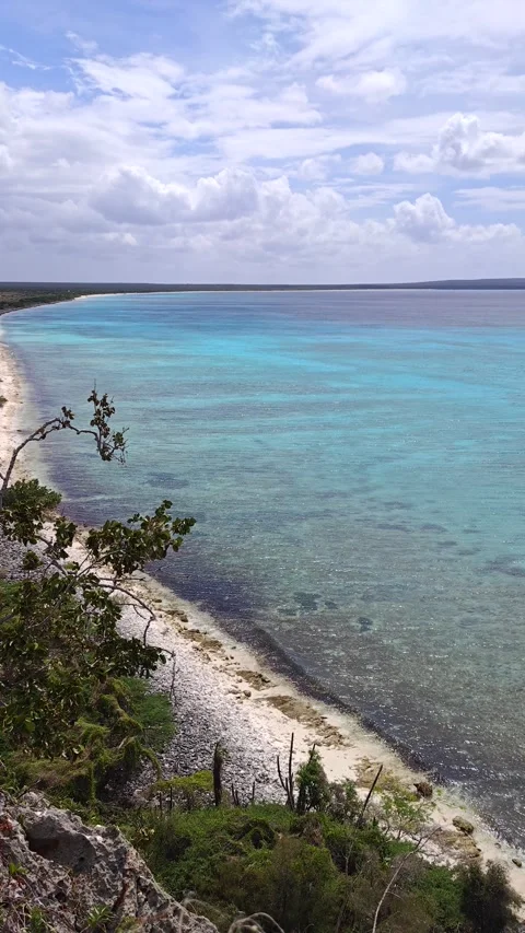 High Angle Panorama of Bahia de las Aguilas Turquoise Coastline and Cliffs Stock Footage 330976474
