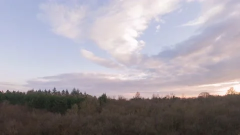 High-angle panoramic timelapse video of the forest sunset. Stock Footage 228609666