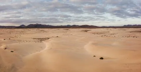 High angle, panoramic view of an empty desert at the sunrise with copy space Stock Photos