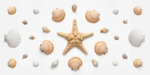 High angle, panoramic view of seashells and starfish Stock Photos