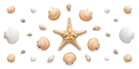 High angle, panoramic view of starfish and seashells Stock Photos