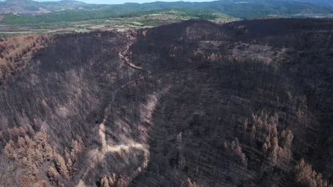 High angle of path located in ash-covered area. Stock-Footage 164880641