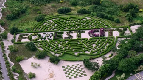 High angle perspective of the intricately woven garden maze Stock Footage 332152077