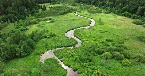 High-angle perspective of winding river through a summer green forest. Stockbeeldmateriaal 344829062