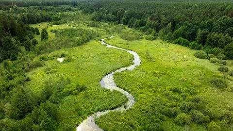 High-angle perspective of winding river through a summer green forest. Stock Photos