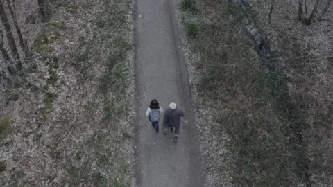 High angle rear view shot of two people walking along a forest track. Stock Footage 130384097