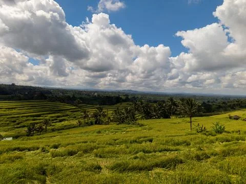 High angle scenic view of expansive terraced rice fields in Bali, Indonesia Fotos de archivo
