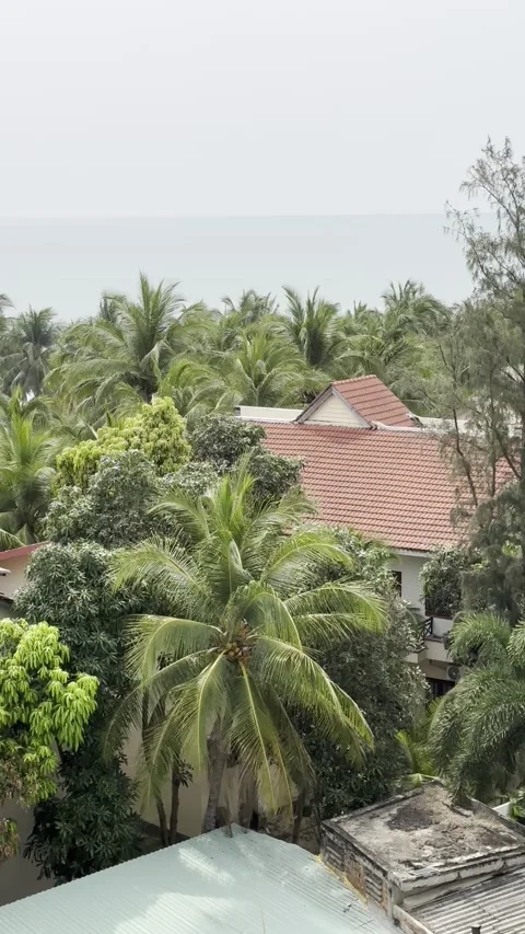 High-angle scenic view of lush green coconut palm trees, red-tiled villa ro.. Stock Footage 338236999
