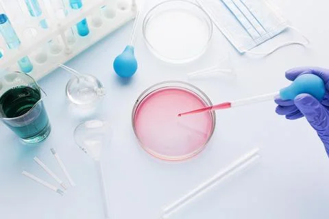 High angle science elements composition. High quality photo Stock Photos