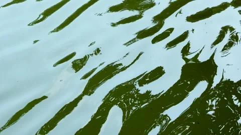 High angle shot of abstract green tree reflections moving on wavy ripples o.. Stock Footage 337583465