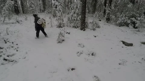 High-angle shot of backpacker walking back and forth in snowy forest Stock Footage 145950668