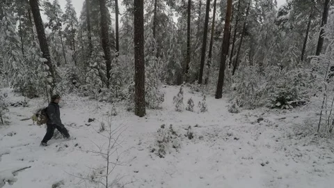 High-angle shot of backpacker walking through snowy forest Stock Footage 145951823