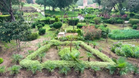 High-angle shot of the beautiful Chellah gardens and ancient ruins in Rabat.  Stock Footage 331667751