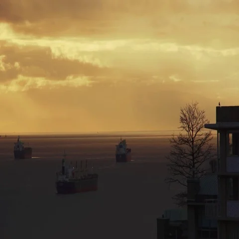 High angle shot of container ships anchored in English Bay at sunset with plane. Stock Footage 69724395