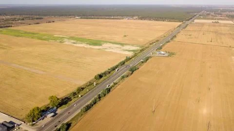 High-angle shot of cornfields before harvesting Stock-Fotos