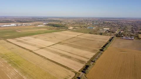 High-angle shot of cornfields before harvesting Stock-Fotos