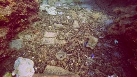 High-angle shot, Forward movement between two rocky reefs above seabed polluted Stock Footage 328574065