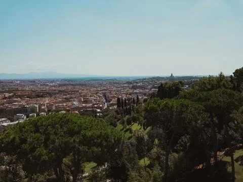A high angle shot of green trees with city buildings in the distance under a  写真素材