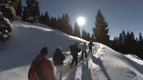 High Angle Shot of Hikers in the Fresh Snow with Snowshoes, Ultental, Trentino Stock Footage 83975495