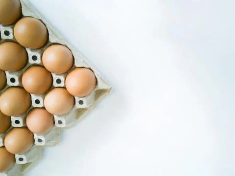 High angle shot. Light brown eggs in egg panel. Фото