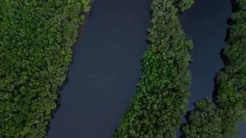 High-angle shot of a meandering river bordered by dense forest. Video stock 336863925