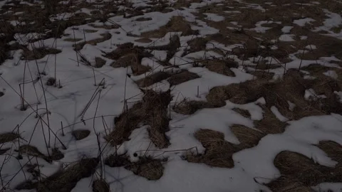 High-angle shot of melting snow patches on dormant brown grass and dry Stock Footage 334673718