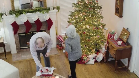 High-angle shot of an old couple decorating a Christmas tree 動画素材 73116146