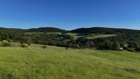 High Angle Shot of Open Green Meadow Bordered by Pine Woods Видео 346116431