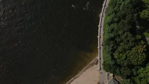 High Angle Shot of Pathway Next To Trees Stock Footage 161677354