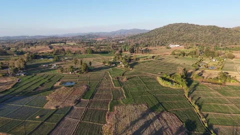 High Angle Shot of Patterns in Rural Paddy Fields and Orchards Stock-Footage 326176278