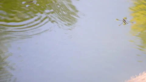 A high angle shot of a reflective lake surface Stock Footage 139465705