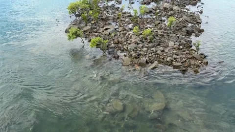 High Angle Shot of River Current Flowing Around Rocky Island with Mangroves Stock Footage 339674060