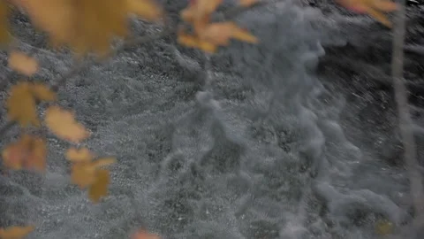 High angle shot of river stream foreground blurred orange maple leaves at autumn Stock Footage 140380050