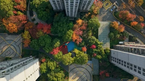 A high-angle shot shows tall apartment buildings, colorful autumn trees, and a Stock Footage 325079779