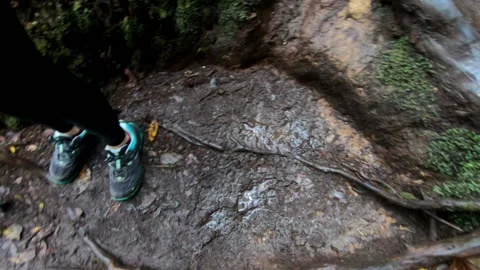 High angle shot of some hikers helping each other down a muddy path in a wet Video stock 197189662