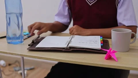 High-angle shot of student reviewing schedule and notes in leather organizer Stock Footage 335018088