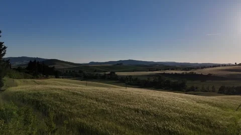 High Angle Shot of Sunlit Cereal Field Slopes in Tuscan Countryside Vídeo Stock 346513451