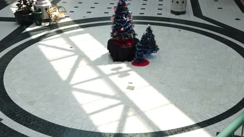 A High Angle Shot of Three Christmas Trees Vidéo 157217550