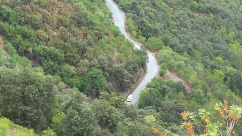 High angle shot of a tiny car road with vehicles pass through in the forest Stock Footage 266398340