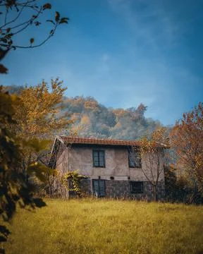 High angle shot of a tiny house hidden in the middle of a forest Foto stock