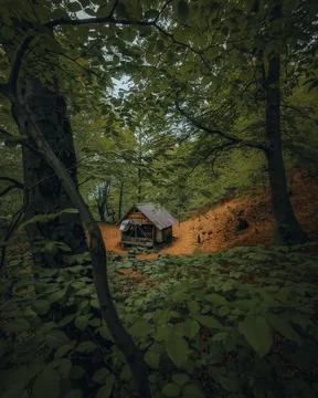 High angle shot of a tiny house hidden in the middle of a forest Stock Photos