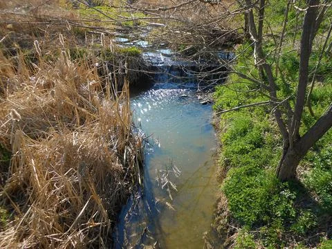 High angle shot of a tiny river through dry grass and trees Stock Photos